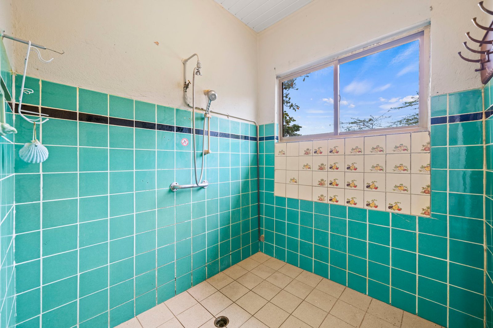 17-web-or-mls-DSC04296